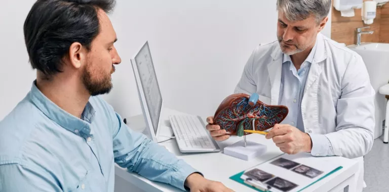 Gastroenterólogo explica a un paciente afecciones hepáticas con un modelo de hígado