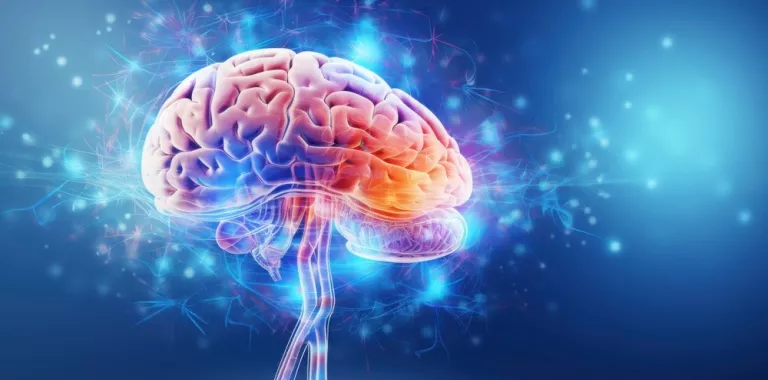Ilustración de un cerebro y sus conexiones neuronales