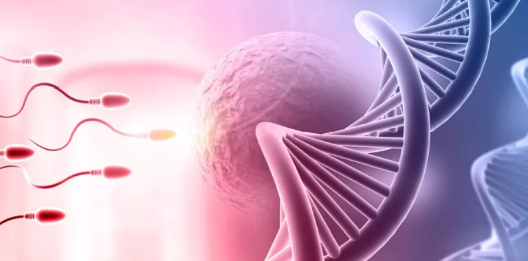 Ilustración de espermatozoides que se dirigen a un óvulo junto a una cadena de ADN