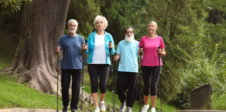 Grupo de personas mayores practica marcha nórdica en un bosque