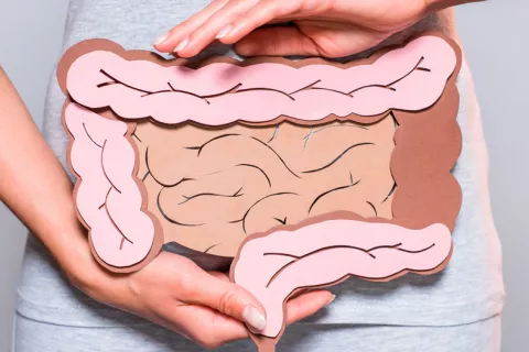 Nuevo compuesto, eficaz contra la enfermedad inflamatoria intestinal Problemas inflamatorios intestinales