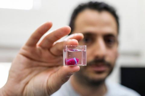 Científico mostrando el corazón impreso en 3D