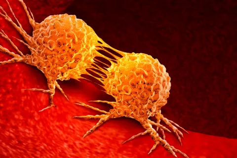 Logran mejorar la efectividad de la inmunoterapia contra el cáncer Inmunoterapia contra el cáncer