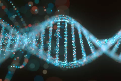 Detectan raras variaciones genéticas implicadas en la diabetes tipo 2 Variaciones genéticas implicadas en la diabetes