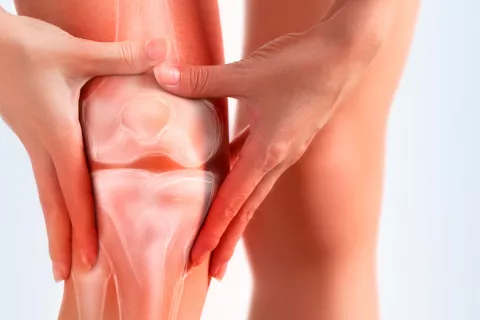 Novedoso hidrogel que regenera el cartílago Hidrogel que regenera el cartílago