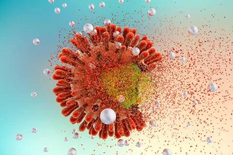 Eliminan el VIH en ratones mediante antirretrovirales y terapia CRISPR Eliminación del VIH en ratones mediante antirretrovirales y terapia CRISPR