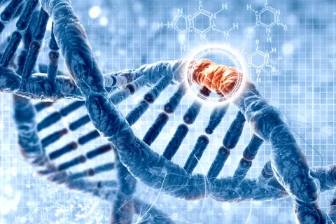 Identifican un gen cuya inhibición frena la progresión de la ELA Descubrimiento de un gen para frenar la ELA