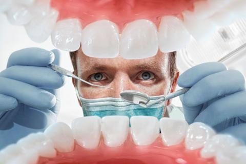 Regeneración de las raíces de los dientes
