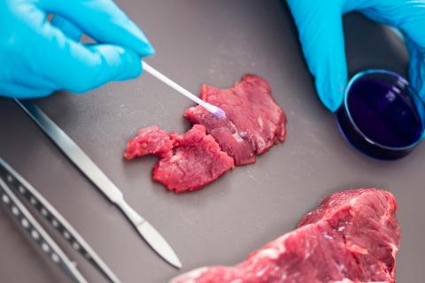 Análisis químico de un trozo carne en un laboratório