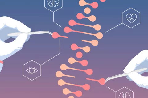 CRISPR para combatir el cáncer de mama Ilustración sobre el CRISPR