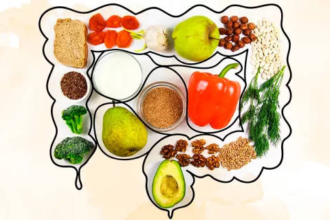 La dieta altera la respuesta de la flora intestinal a los antibióticos Microbiota intestinal