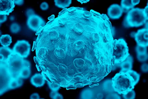 Una nueva vacuna logra prevenir el herpes genital en ratones y cobayas Virus del herpes