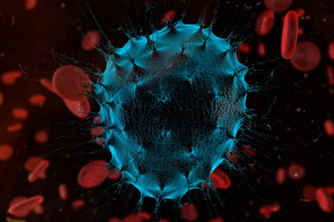 Crean nuevas CAR-T para leucemias resistentes a la inmunoterapia Nueva terapia CAR-T para leucemias resistentes a la inmunoterapia