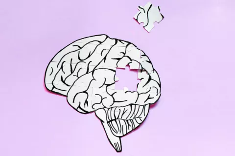 Un anticoagulante frena la pérdida de memoria del alzhéimer en ratones Problemas de pérdida de memoria debido al alzhéimer