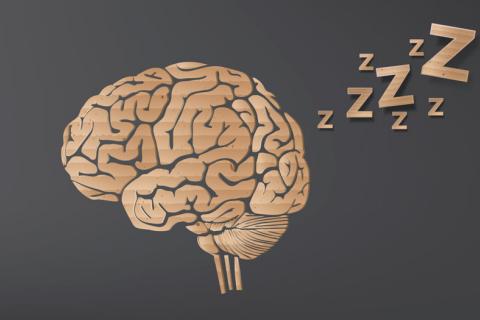 Conexiones células de la mente y cuerpo durante el sueño