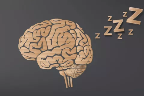 Las células inmunes reparan cuerpo y mente durante el sueño Conexiones células de la mente y cuerpo durante el sueño