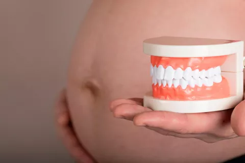 1.200 dentistas españoles ofrecen una revisión gratuita a gestantes Revisiones dentales en el embarazo