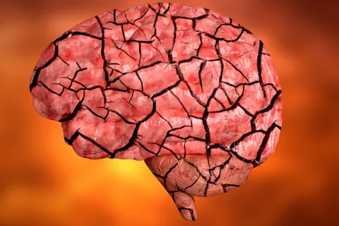 El antioxidante glutatión protege contra el alzhéimer o el párkinson El glutation protege contra el alzhéimer o el párkinson