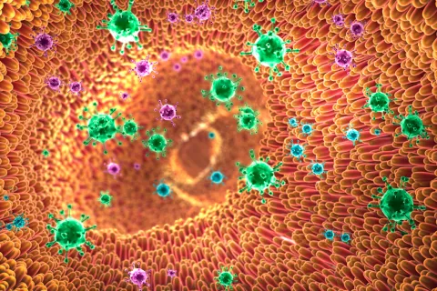 Asocian la colitis ulcerosa con la ausencia de bacterias intestinales Ausencia de algunas bacterias intestinales por la colitis ulcerosa