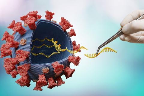 Secuenciación genética del coronavirus