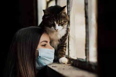 Las personas puedes transmitir el coronavirus a gatos