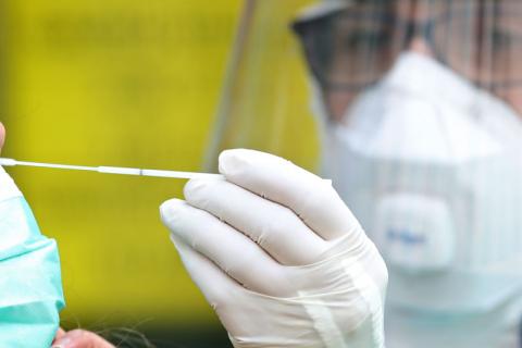 Test rápidos para detectar el coronavirus