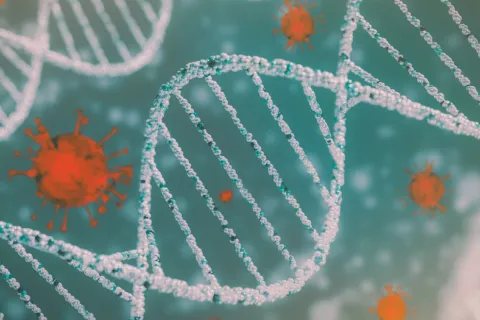 Un estudio genético del CSIC determinará el riesgo de COVID-19 grave Un estudio genético del CSIC para determinar el riesgo de COVID-19 grave
