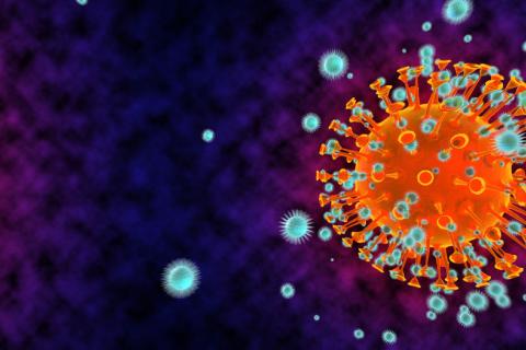 Anticuerpo humano que bloquea la infección por coronavirus