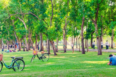 Los parques juegan un papel esencial en el bienestar de las personas Los parques juegan un papel importante en el bienestar de las personas