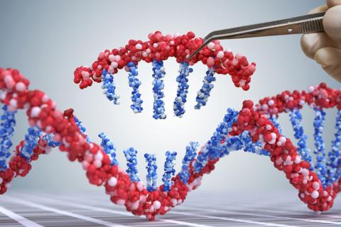 El CSIC empleará CRISPR para destruir el genoma del COVID-19