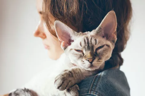 Las personas con ansiedad sienten más afecto y confianza por su gato problemas emocionales pueden aumentar el abandono de gatos