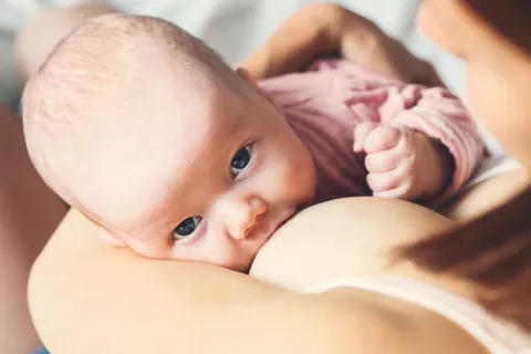 Aconsejan seguir con la lactancia incluso si la madre tiene COVID-19 Aconsejan seguir con la lactancia incluso si la madre tiene coronavirus
