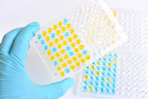 Kit Elisa para detectar anticuerpos del COVID-19