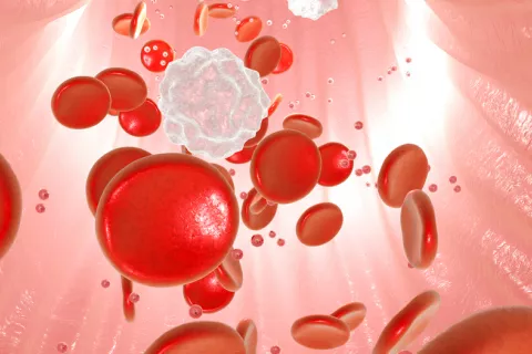 Un nanofármaco para la leucemia mieloide evita dañar las células sanas Un nanofármaco para la leucemia mieloide