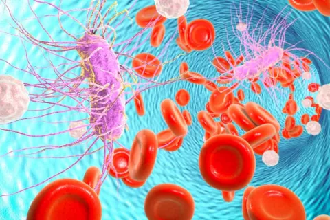 Día Mundial de la Sepsis Bacteria Escherichia coli en sangre