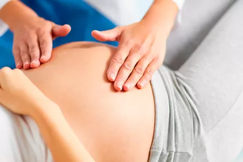 Hallan cómo crear células madre para tratar problemas de la placenta Descubren cómo crear células madre para tratar problemas de la placenta