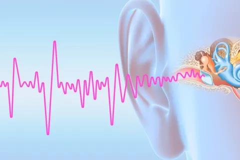 La estimulación eléctrica de lengua y oído puede aliviar el tinnitus Tinnitus: terapia reduce sus síntomas