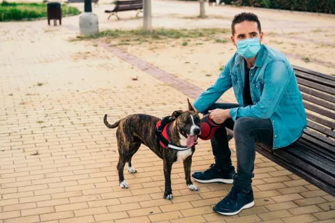 Pasear al perro aumentó un 78% el riesgo de COVID en el confinamiento Más riesgo de COVID-19 al pasear al perro