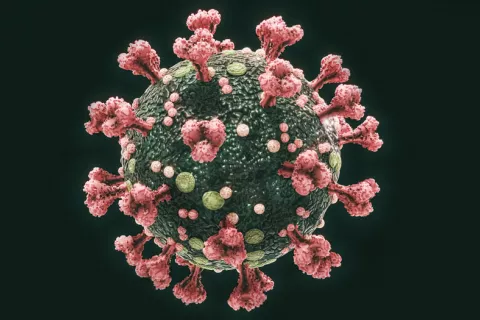 Identifican claves que facilitan al SARS-CoV-2 entrar en las células Proteína SARS-CoV-2: cómo invade células