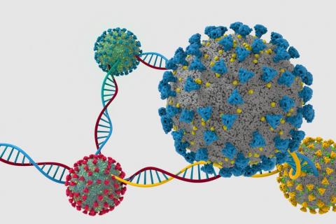Genoma mutado del coronavirus