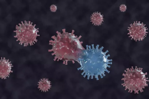 Mutación genética del SARS-CoV-2 Variación genética del coronavirus