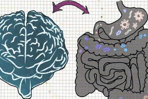 vínculo entre el alzhéimer y la microbiota intestinal