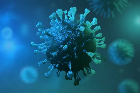 Antivirales para bloquear mutantes del coronavirus Mutación del SARS CoV-2