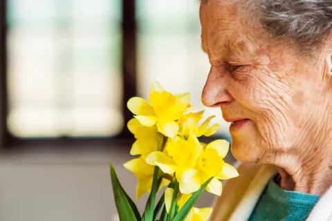 Un nuevo wearable que estimula el olfato podría prevenir el alzhéimer Wereable para prevenir el alzhéimer