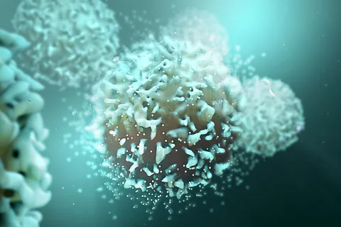 Hallan una forma de controlar las células CAR-T contra el cáncer Regulan las células CAR-T contra cáncer
