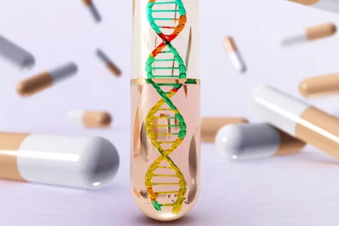 Nueva terapia génica podría tratar alteraciones lipídicas y diabetes Terapia génica podría tratar alteraciones lipídicas y diabetes