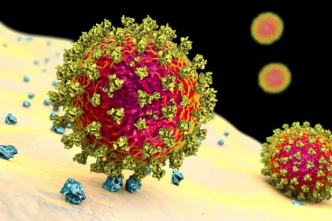Las mutaciones del coronavirus dificultan combatirlo Nueva mutación del SARS CoV-2