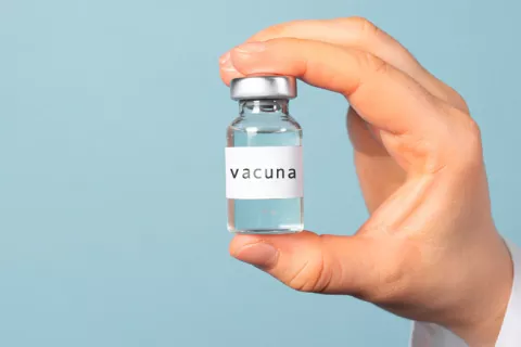 Las vacunas vivas de la tuberculosis podrían servir para tratar el asma Vacunas de tuberculosis contra el asma