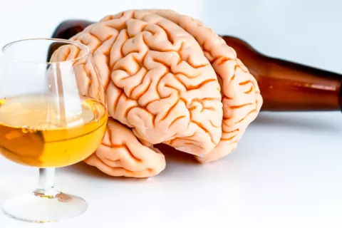 Identifican las raíces neuronales donde se origina el alcoholismo Alcoholismo: hallan su origen físico