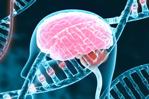 Identifican genes relacionados con la demencia por cuerpos de Lewy Demencia por cuerpos de Lewy y genética